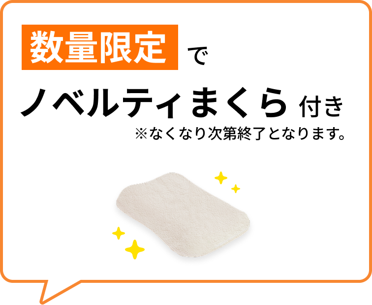 数量限定でノベルティまくら付き